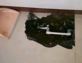 东阿卫生间测漏水多少钱